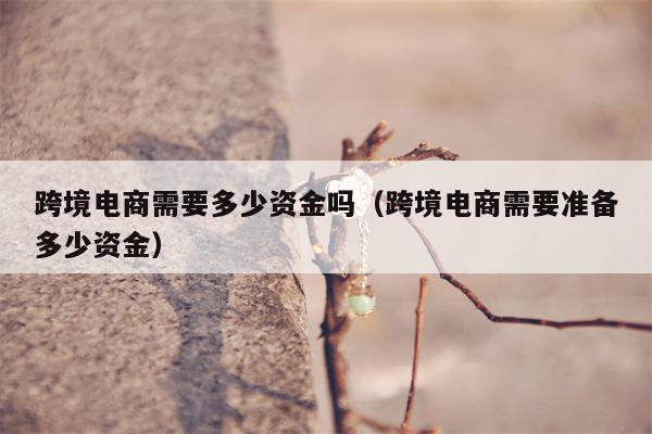 跨境电商需要多少资金吗（跨境电商需要准备多少资金）