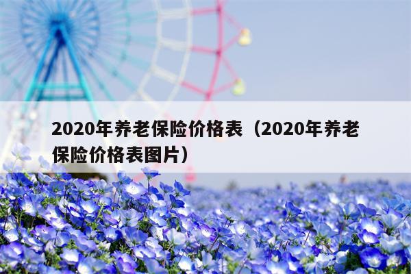 2020年养老保险价格表（2020年养老保险价格表图片）