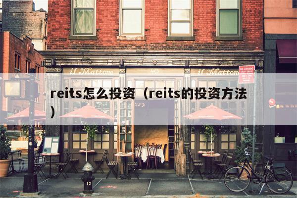 reits怎么投资（reits的投资方法）