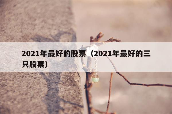 2021年最好的股票（2021年最好的三只股票）