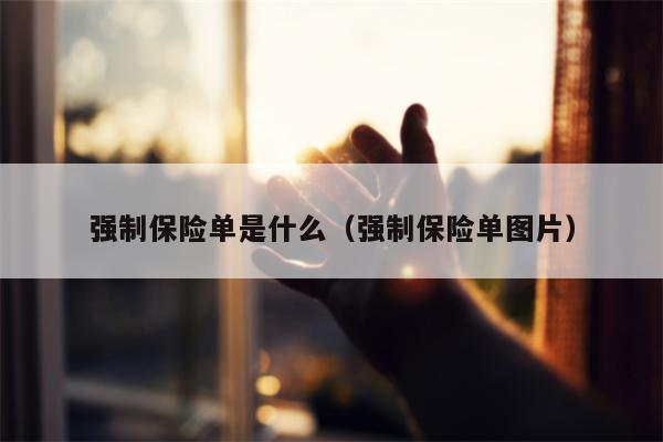 强制保险单是什么（强制保险单图片）