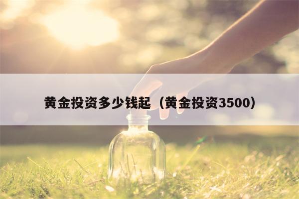 黄金投资多少钱起（黄金投资3500）