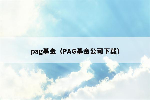 pag基金（PAG基金公司下载）