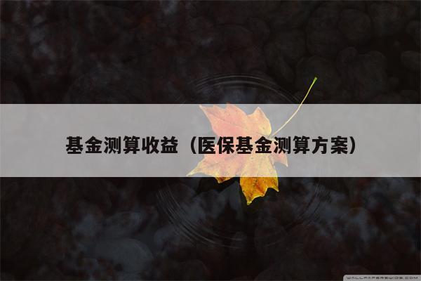 基金测算收益（医保基金测算方案）