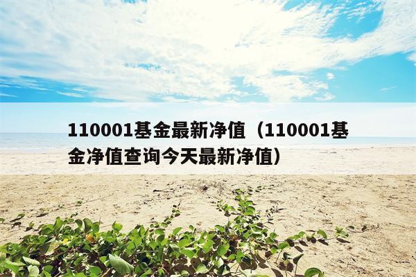 110001基金最新净值（110001基金净值查询今天最新净值）