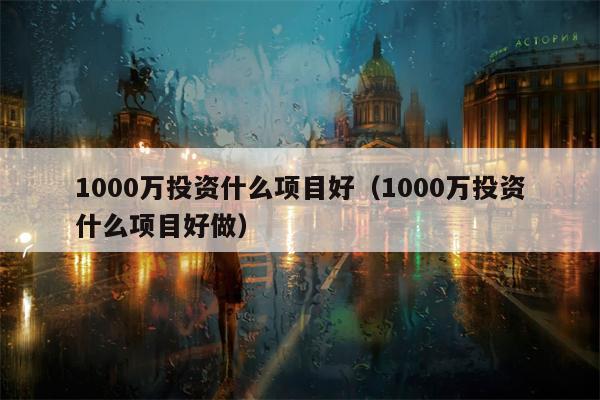 1000万投资什么项目好（1000万投资什么项目好做）