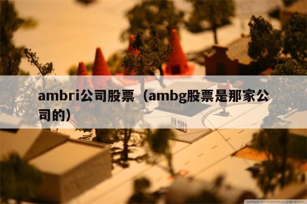 ambri公司股票（ambg股票是那家公司的）