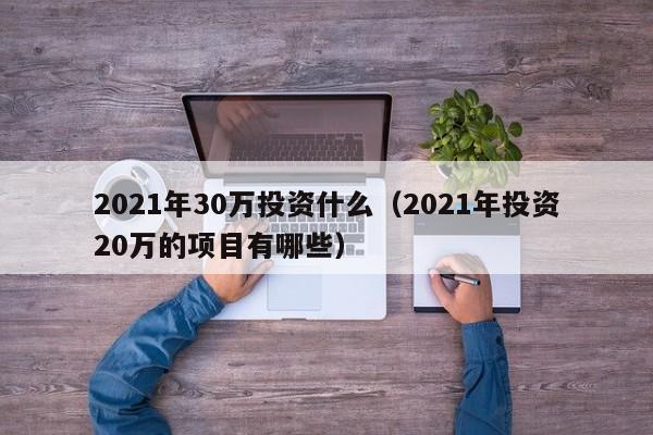 2021年30万投资什么（2021年投资20万的项目有哪些）