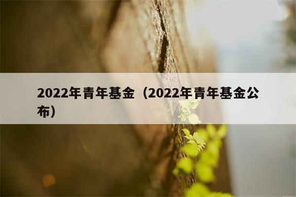 2022年青年基金（2022年青年基金公布）