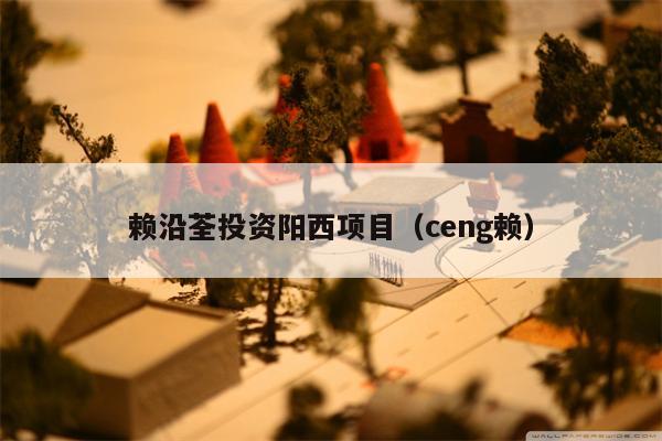 赖沿荃投资阳西项目（ceng赖）