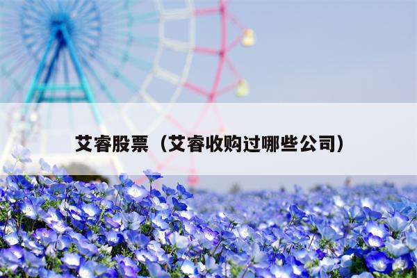 艾睿股票（艾睿收购过哪些公司）