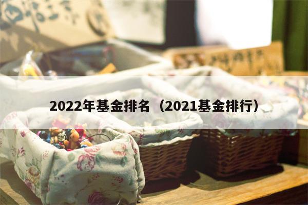 2022年基金排名（2021基金排行）