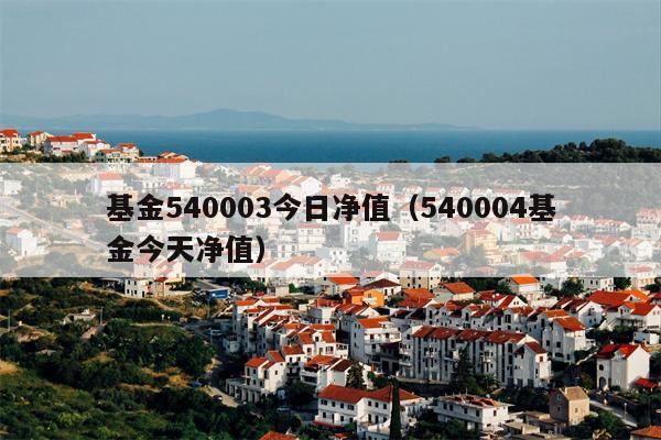 基金540003今日净值（540004基金今天净值）