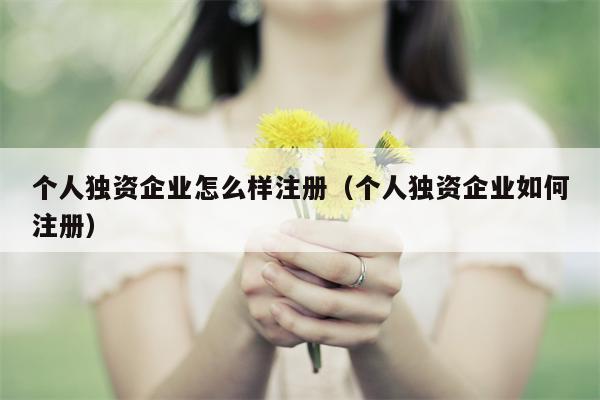 个人独资企业怎么样注册（个人独资企业如何注册）