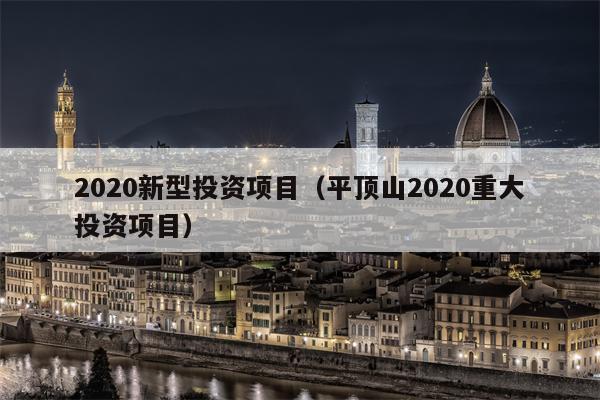 2020新型投资项目（平顶山2020重大投资项目）