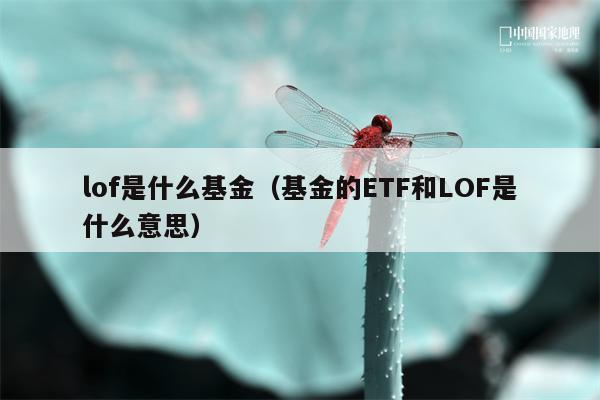 lof是什么基金（基金的ETF和LOF是什么意思）