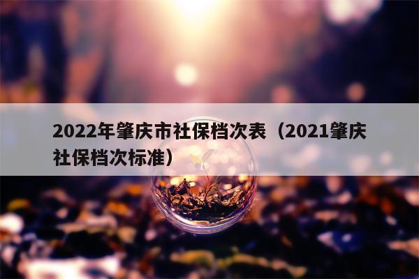 2022年肇庆市社保档次表（2021肇庆社保档次标准）