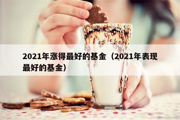 2021年涨得最好的基金（2021年表现最好的基金）