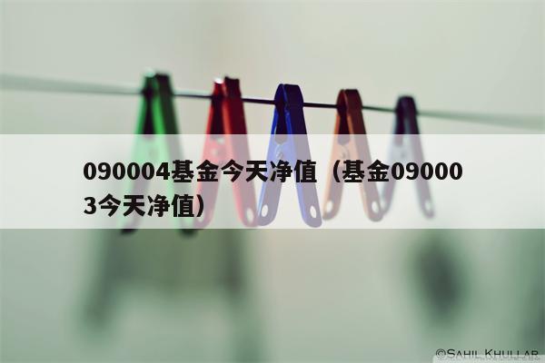 090004基金今天净值（基金090003今天净值）