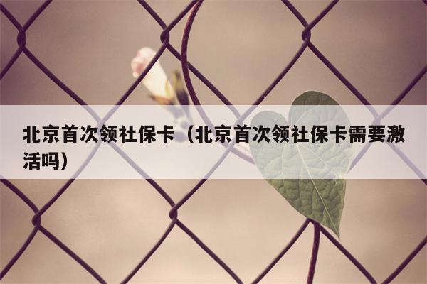 北京首次领社保卡（北京首次领社保卡需要激活吗）