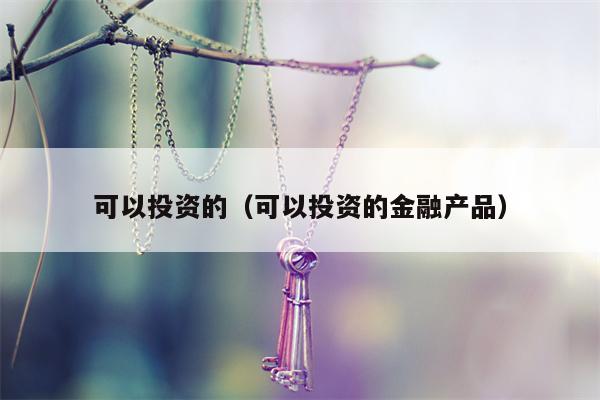 可以投资的（可以投资的金融产品）