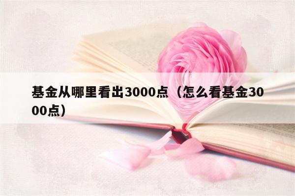 基金从哪里看出3000点（怎么看基金3000点）