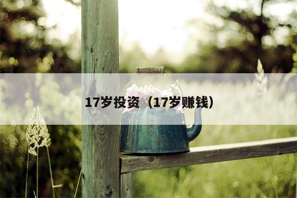 17岁投资（17岁赚钱）