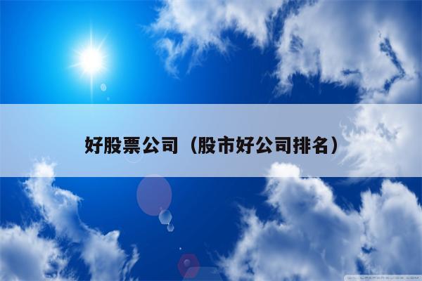 好股票公司（股市好公司排名）