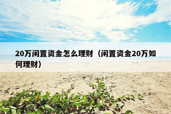 20万闲置资金怎么理财（闲置资金20万如何理财）