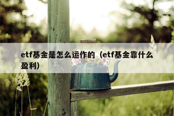 etf基金是怎么运作的（etf基金靠什么盈利）