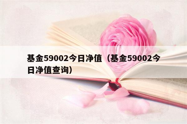 基金59002今日净值（基金59002今日净值查询）