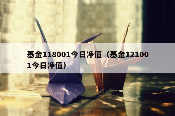 基金118001今日净值（基金121001今日净值）