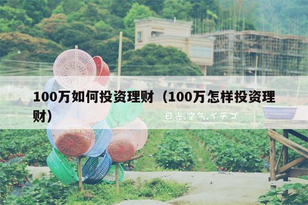 100万如何投资理财（100万怎样投资理财）