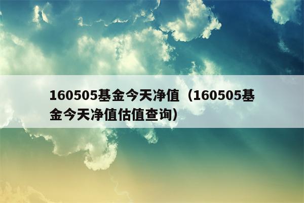 160505基金今天净值（160505基金今天净值估值查询）