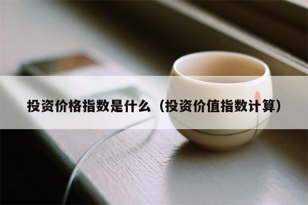 投资价格指数是什么（投资价值指数计算）