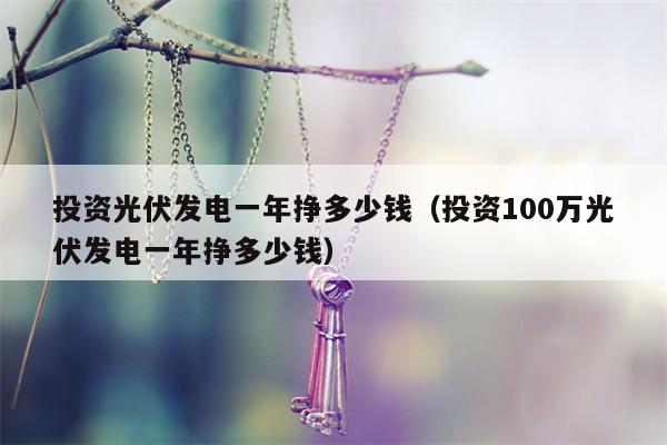 投资光伏发电一年挣多少钱（投资100万光伏发电一年挣多少钱）