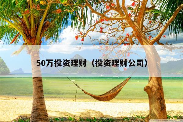 50万投资理财（投资理财公司）