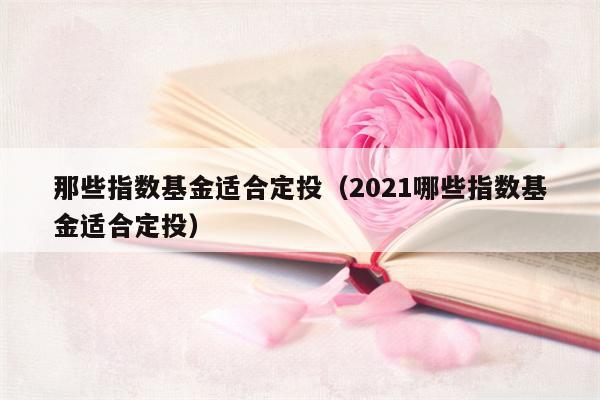 那些指数基金适合定投（2021哪些指数基金适合定投）