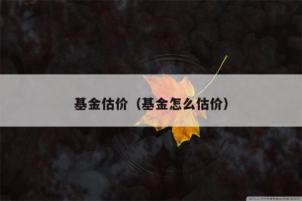 基金估价（基金怎么估价）