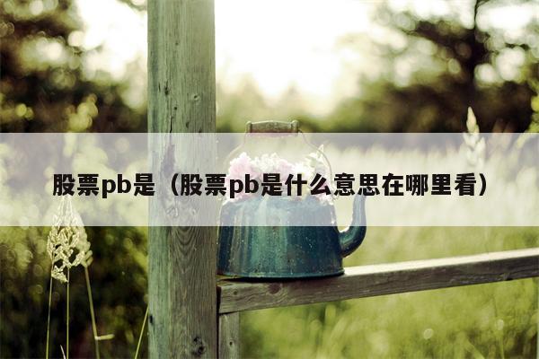 股票pb是（股票pb是什么意思在哪里看）