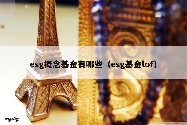 esg概念基金有哪些（esg基金lof）