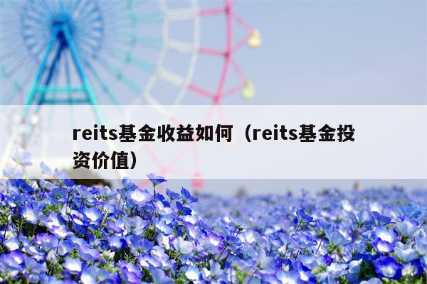 reits基金收益如何（reits基金投资价值）