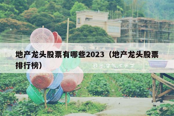 地产龙头股票有哪些2023（地产龙头股票排行榜）