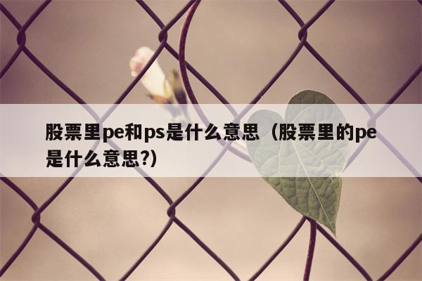 股票里pe和ps是什么意思（股票里的pe是什么意思?）