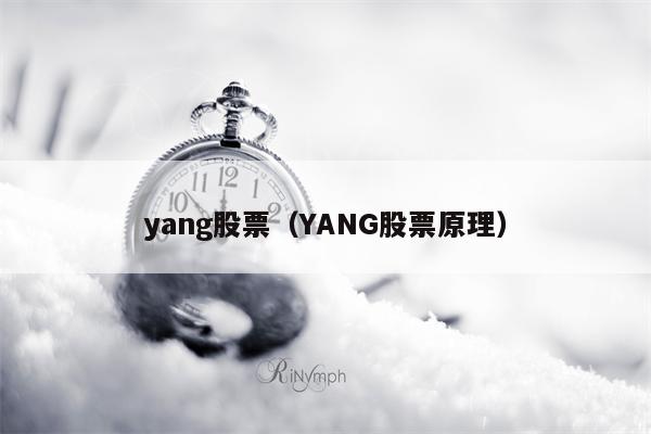 yang股票（YANG股票原理）