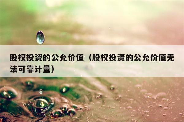 股权投资的公允价值（股权投资的公允价值无法可靠计量）