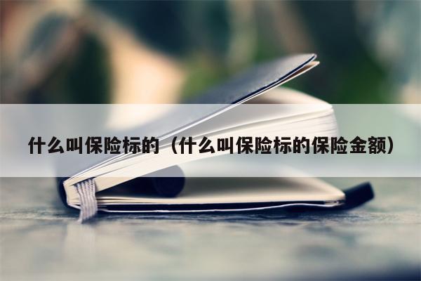 什么叫保险标的（什么叫保险标的保险金额）