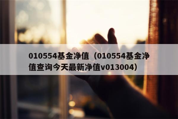 010554基金净值（010554基金净值查询今天最新净值v013004）