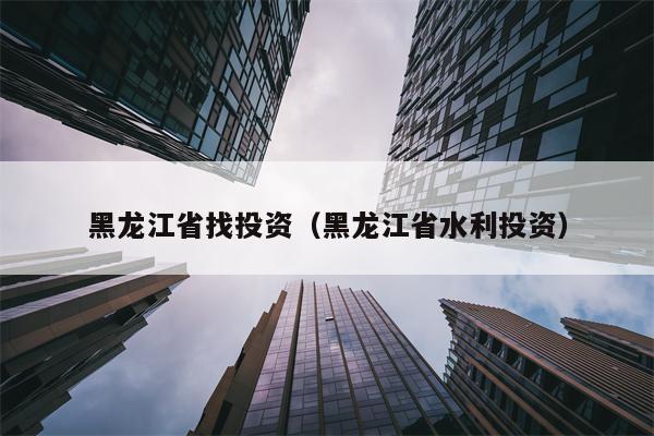 黑龙江省找投资（黑龙江省水利投资）