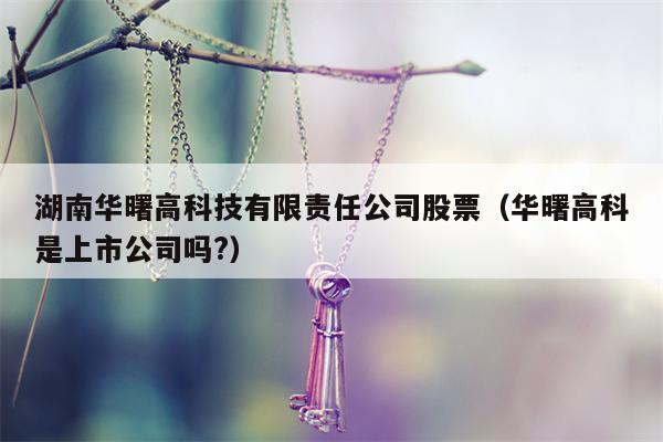 湖南华曙高科技有限责任公司股票（华曙高科是上市公司吗?）